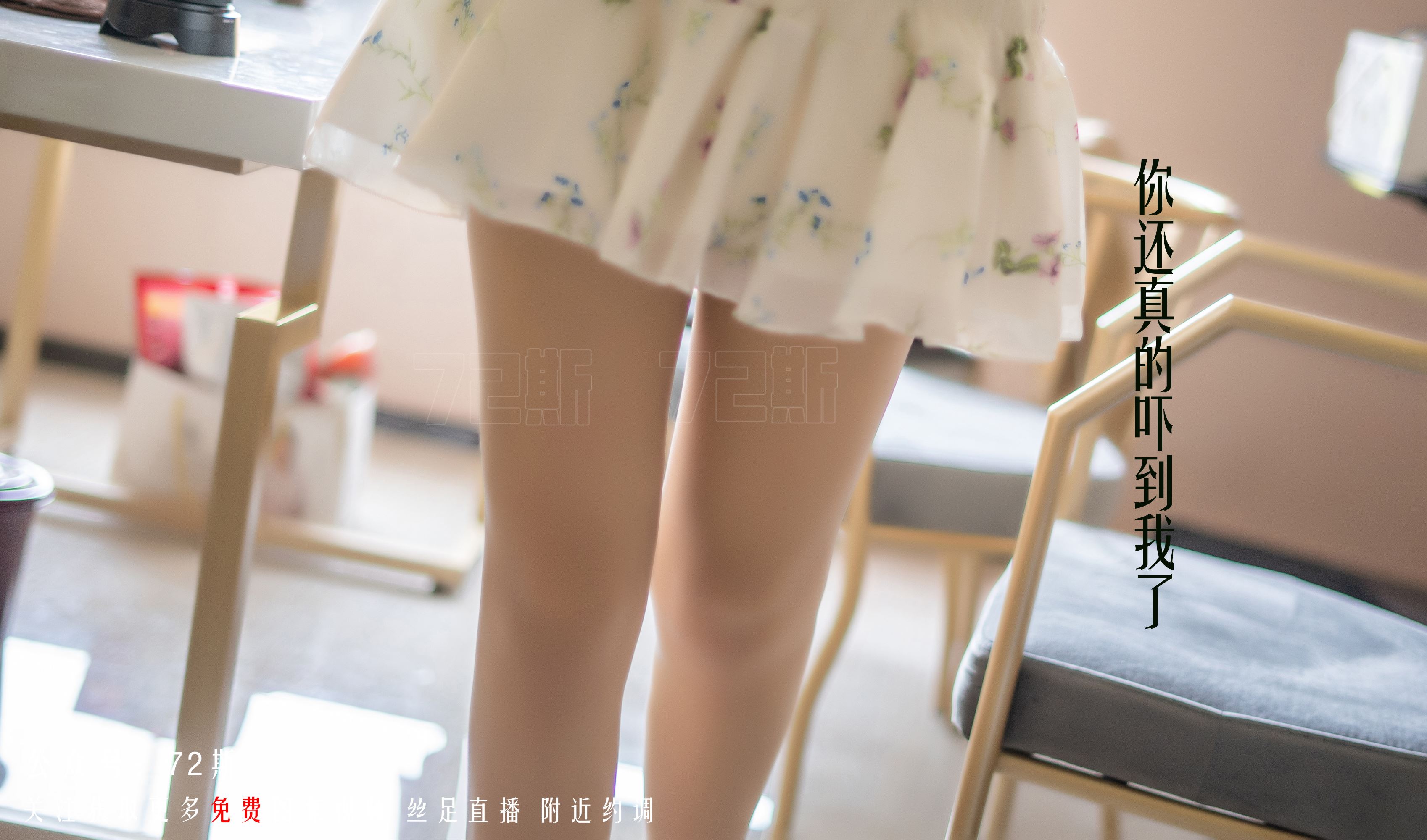 72斯图集 No.01 我的新室友1